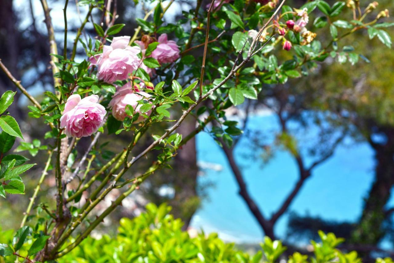 Torre Alpicella Holiday Home, A Scenic Escape Into Nature And Relaxation Diano Marina Zewnętrze zdjęcie